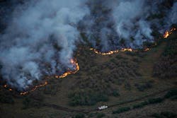 Rockport Wildfire 6 11118532 Rockport Wildfire 6 11118532