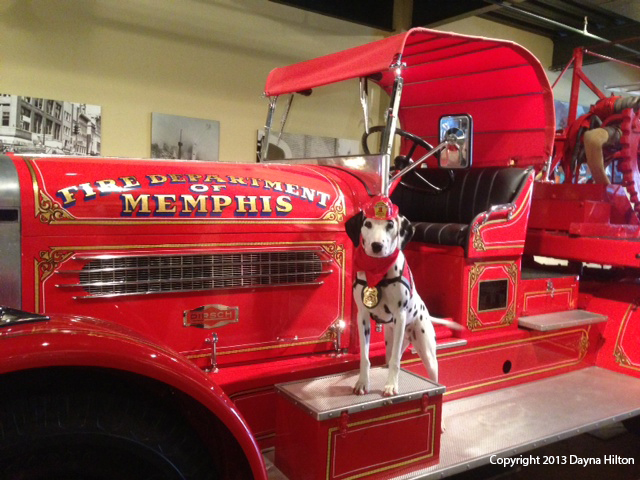 Molly had a chance to visit everything in the museum during her visit.