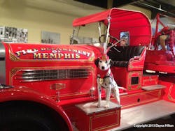Molly had a chance to visit everything in the museum during her visit. Molly had a chance to visit everything in the museum during her visit.