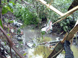 The wreckage was found in a Virginia swamp.
