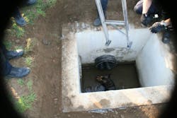 Fairfield Dog Rescue 4 11236361 Fairfield Dog Rescue 4 11236361