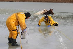 Horse Rescue 5 11284249 Horse Rescue 5 11284249