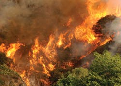 An illegal campfire sarted by three young men at the start of Colby Trail in the Angeles National Forest was blamed for starting the Colby Fire, which eventually burned 2,000 acres of brush. An illegal campfire sarted by three young men at the start of Colby Trail in the Angeles National Forest was blamed for starting the Colby Fire, which eventually burned 2,000 acres of brush.