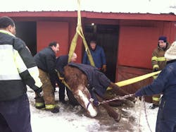 Prince George&apos;s County Technical Rescue Team rescue horse.