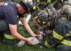 San Jose Dog Resue 5 11304304 San Jose Dog Resue 5 11304304