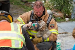 Largo Pets Rescued 2 11325192 Largo Pets Rescued 2 11325192