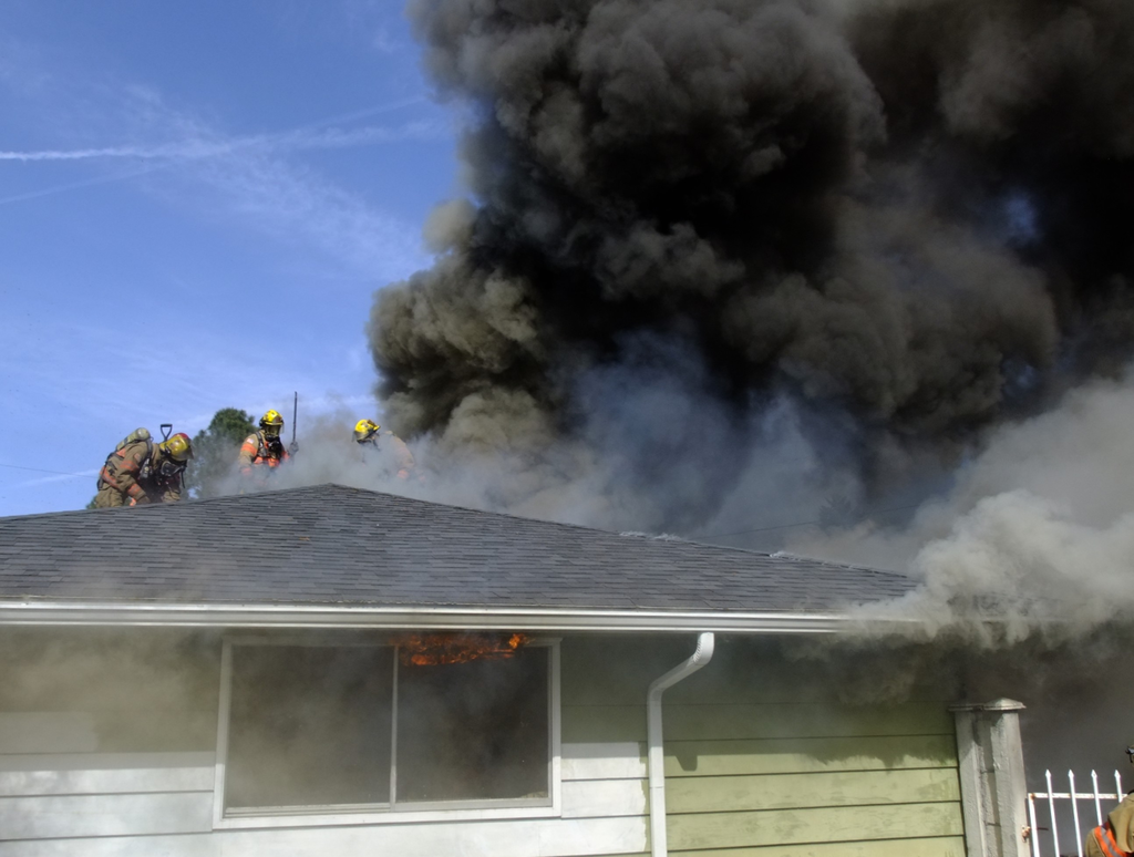 Portland Fire 2 11402471