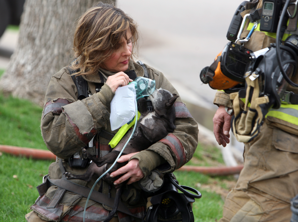 051114stp Tuscarora4pm 11453850