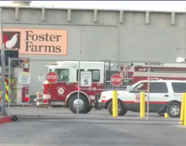 Ammonia Leak at California Farm Plant Firehouse