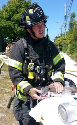 Seattle 11502292 Seattle 11502292