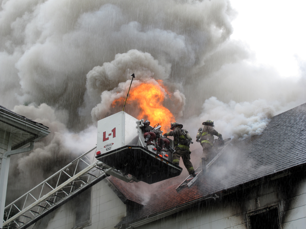 Springfield1 11529994