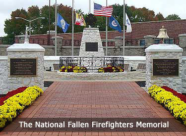 Nfff Rotimg1 11599014