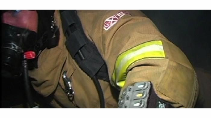 Chameleon 5446d56825232