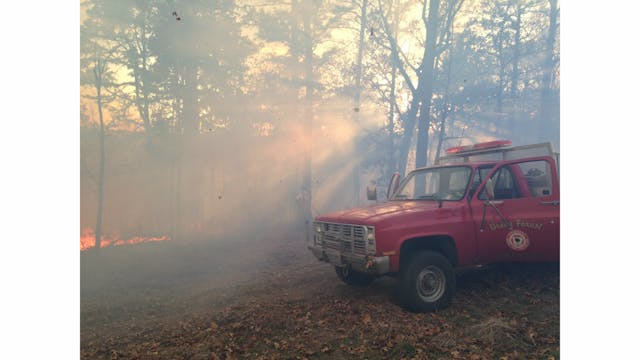 Southern Stone Brush Fire 2 547c94f22be60