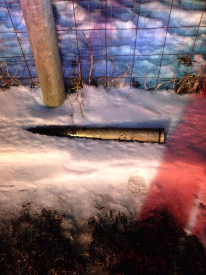 Duchess Albert Fire 2 54cf96c041ae1