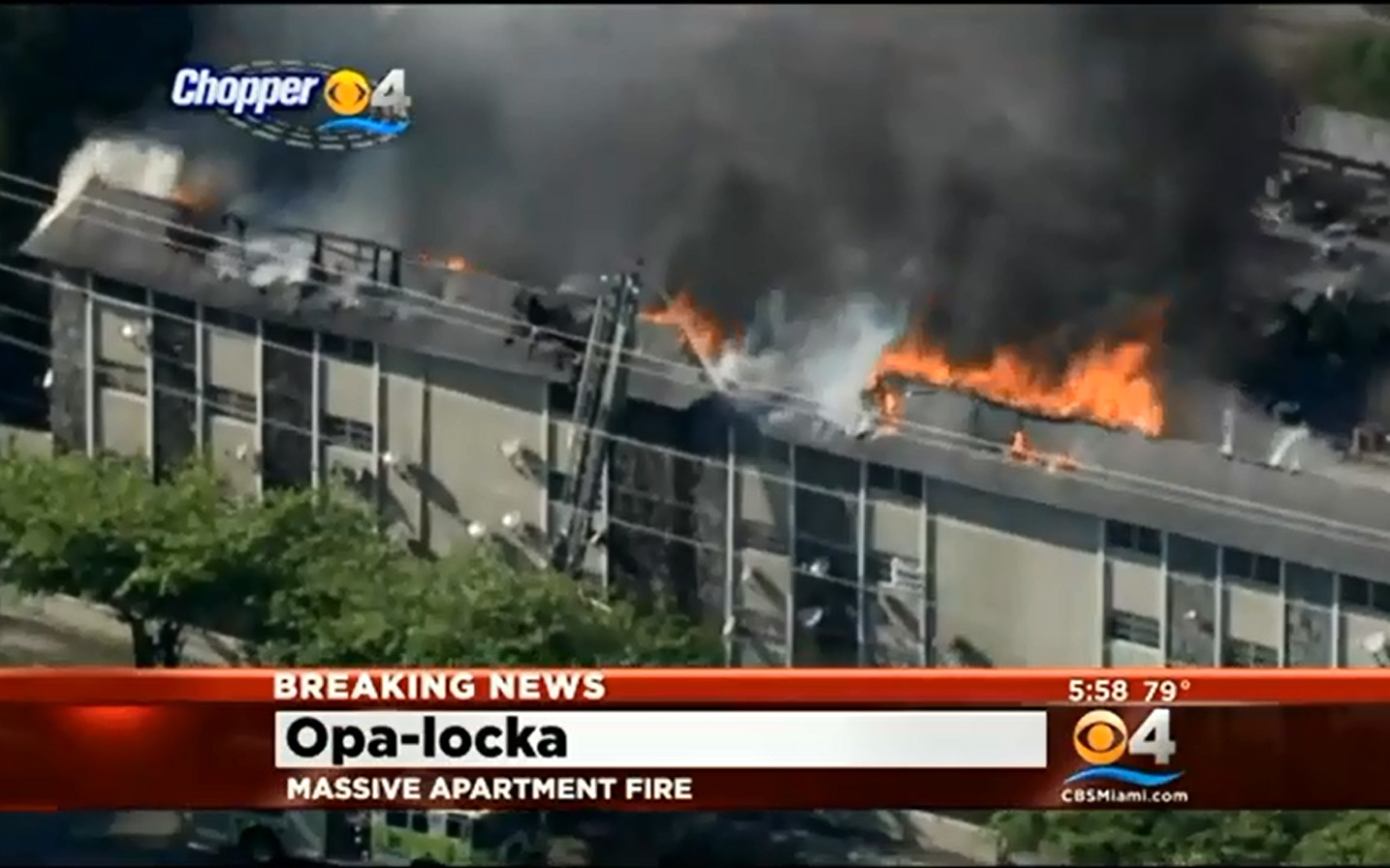 Fla Apt 550d5cf12d12a