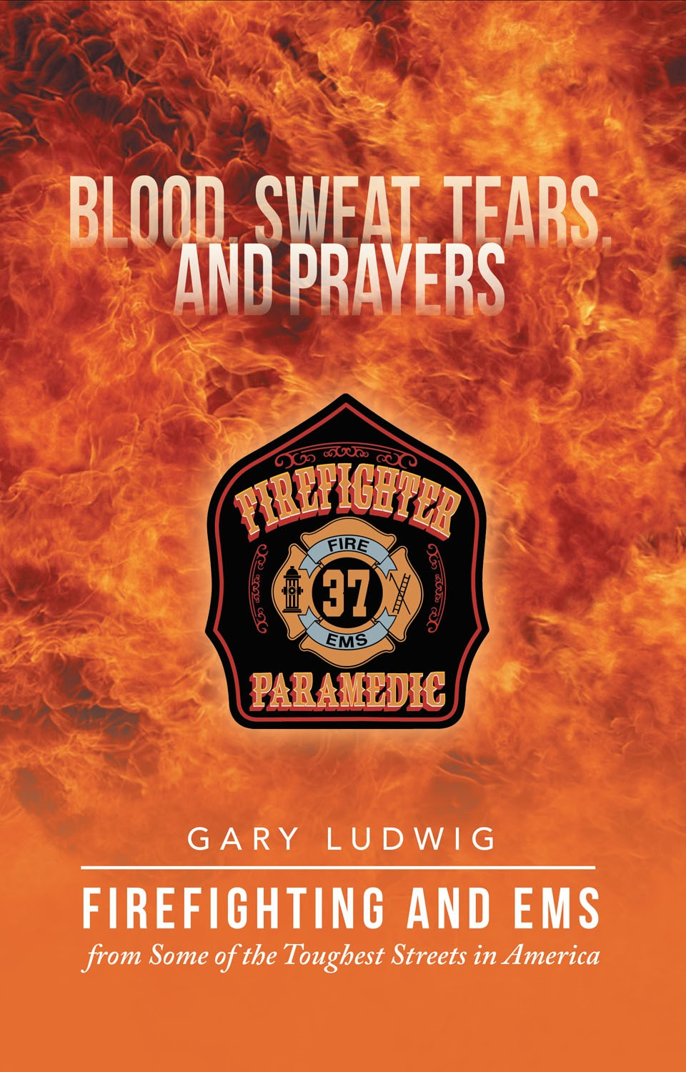 Ludwig Book 54f623507a93d