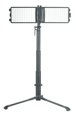 The Paladin Caselight CL10K The Paladin Caselight CL10K