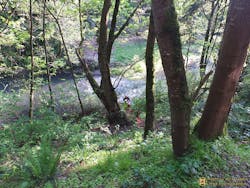 Portland 3 5536b2ec71d5c Portland 3 5536b2ec71d5c