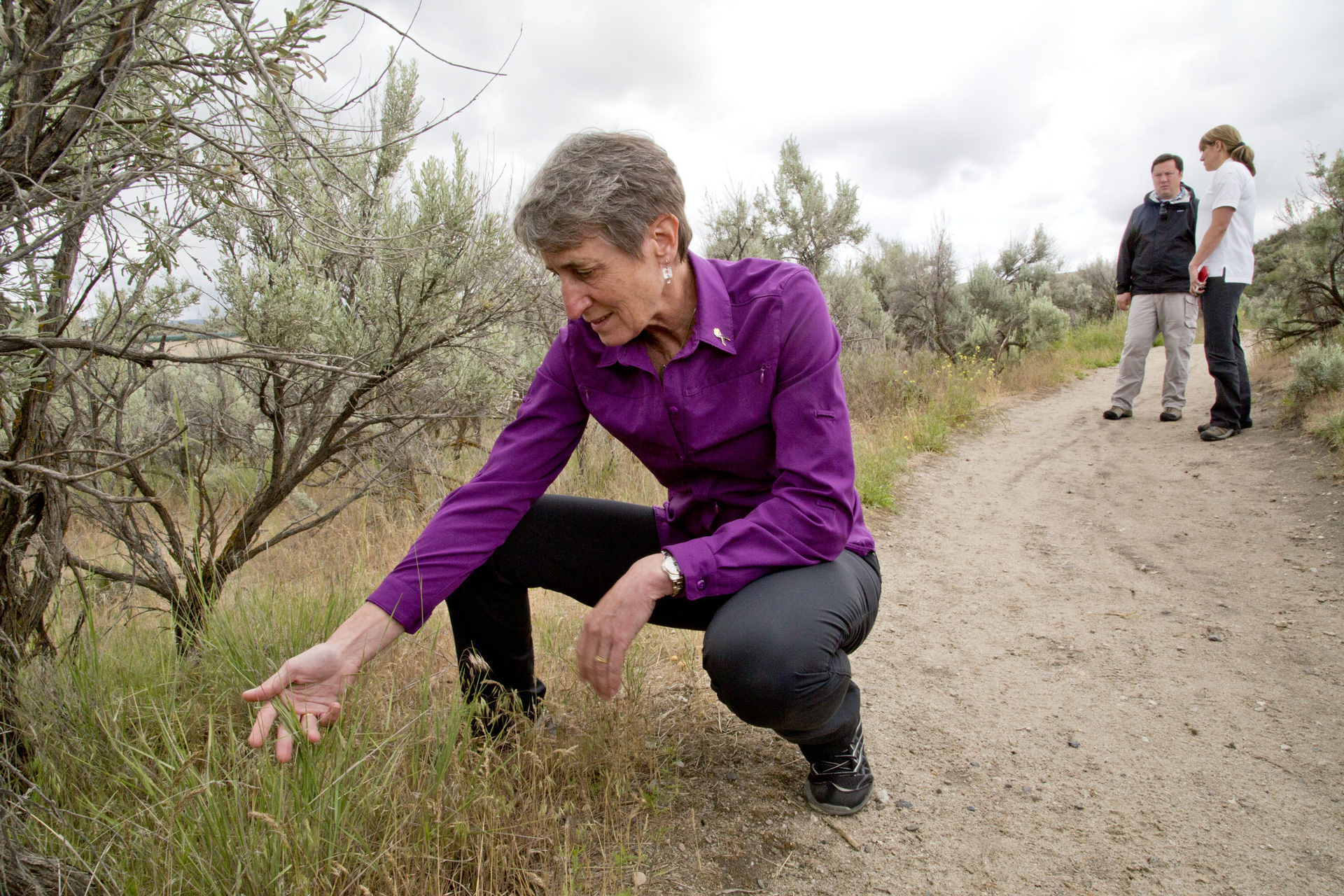 U.S. Secretary of the Interior Sally Jewell examines a patch of cheat grass on the side of Hull's Gulch Trail in the Boise Foothills, Tuesday, May 19, 2015, in Boise, Idaho. Jewell has released a plan for a wildfire-fighting strategy intended to protect a wide swath of intermountain West sagebrush country that supports cattle ranchers and is home to a struggling bird species.