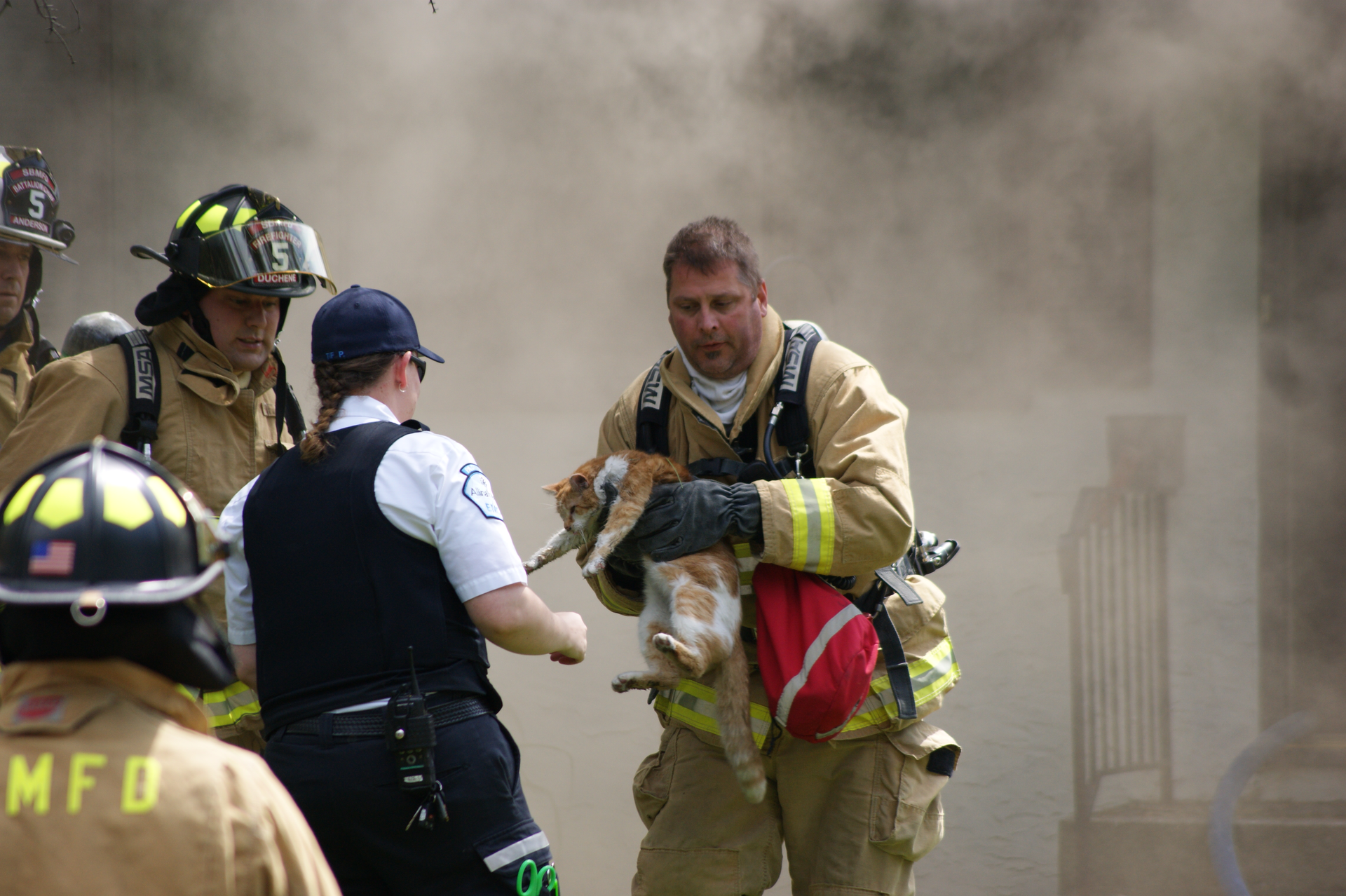 Dsc00013 557ef5aa5d72a