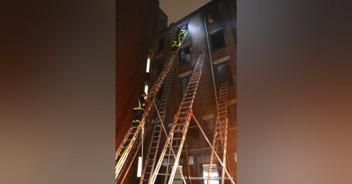 50 foot online ladder
