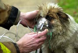 Pet Alert Distressed 559c7137058dc Pet Alert Distressed 559c7137058dc