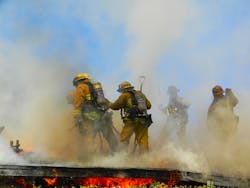 Dscn9237 Copy 5604308333e40 Dscn9237 Copy 5604308333e40