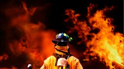 nest grant 561826a90adae nest grant 561826a90adae