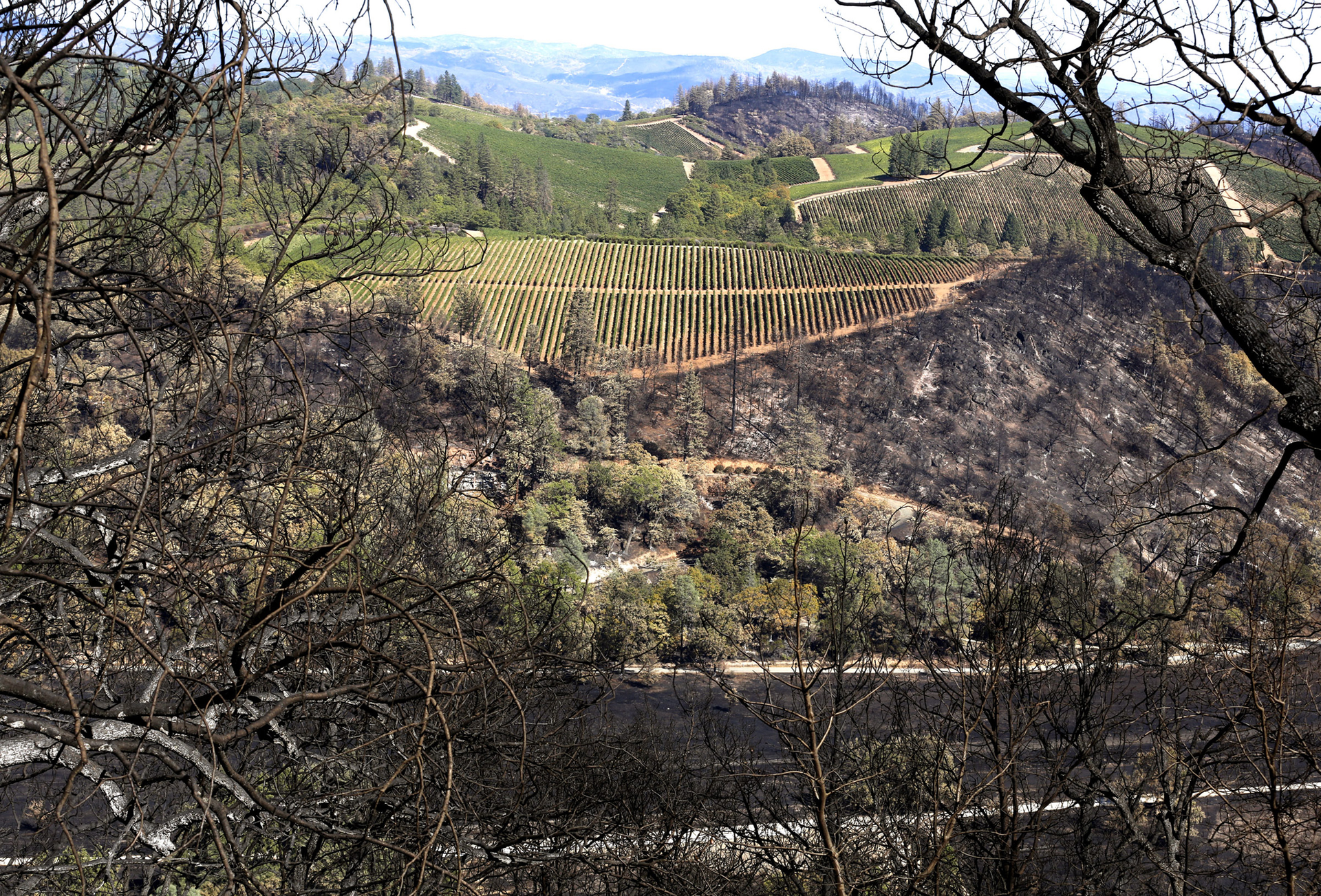 The Valley Fire destroyed hundreds of houses.