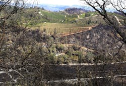 The Valley Fire destroyed hundreds of houses. The Valley Fire destroyed hundreds of houses.