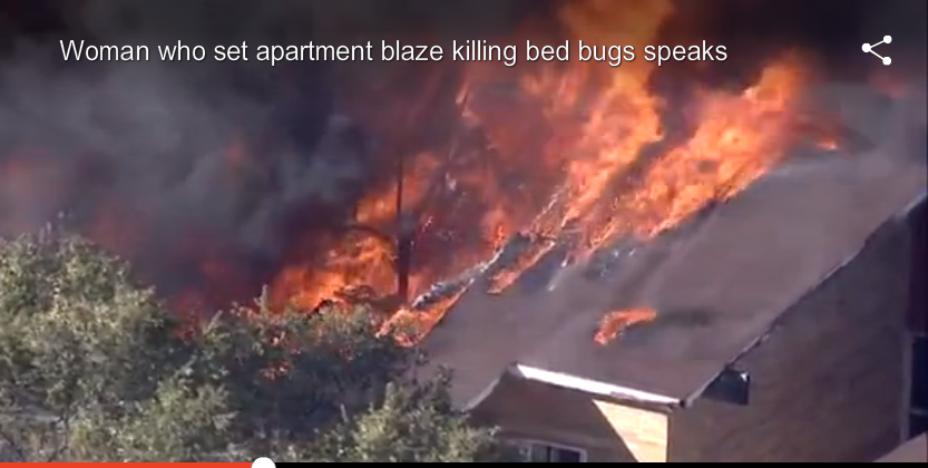 A woman who says she was tormented by bed bugs caused this three-alarm fire.