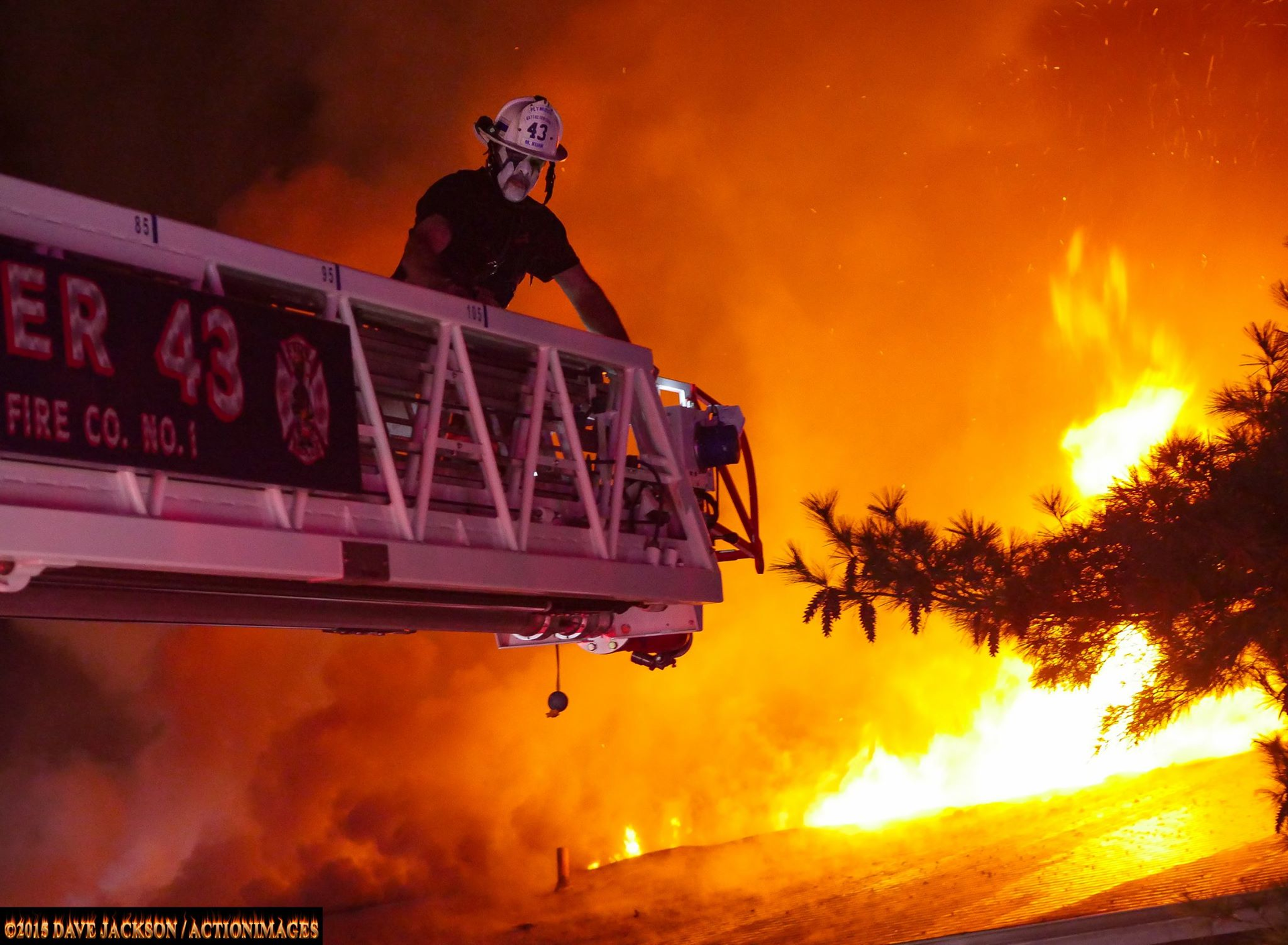 A woman who refused to come down a ladder went back inside to rescue her dog.