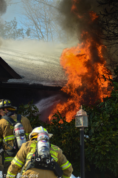 Flames were showing from a house in Lake Linganore.