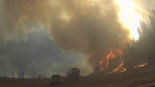 Canadian Wild 572a15e7c3140