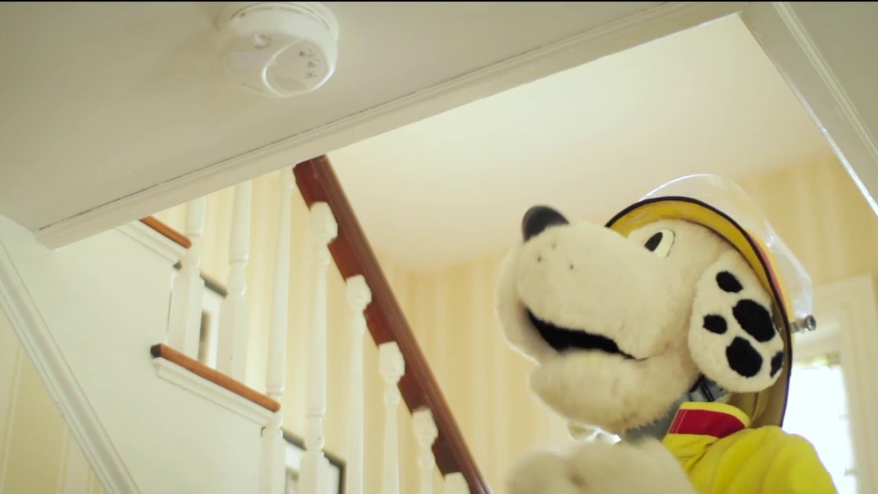 Default 5728cfc130a97