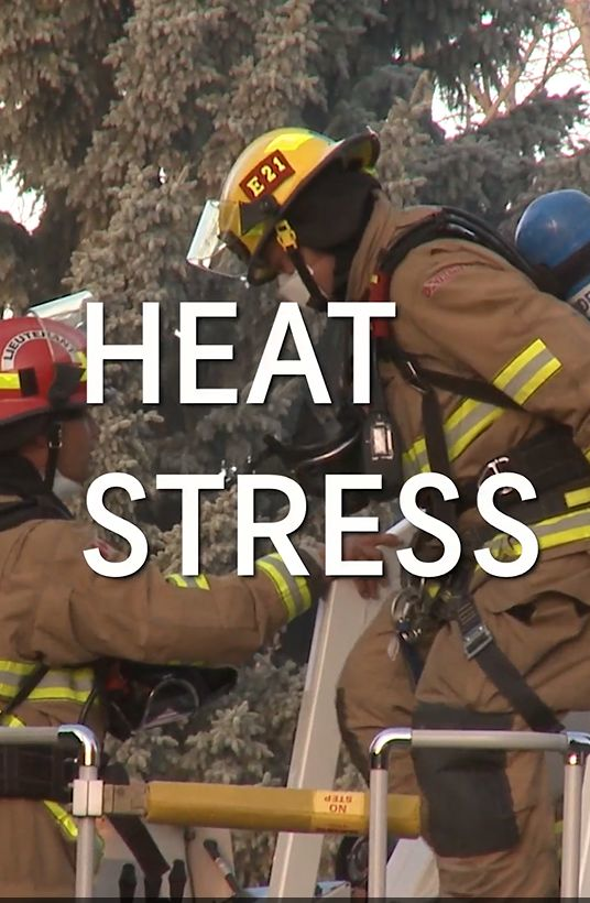 Heat Stress with title 576999d3c48d9