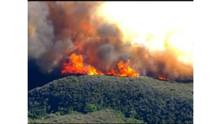 Ripper 57640b24729b4