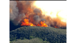 Ripper 57640b24729b4 Ripper 57640b24729b4