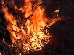 Default 57b732573e47a Default 57b732573e47a