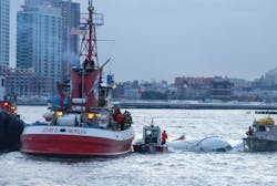 Capt. Chesley Sullenberger had a fortune from a fortune cookie taped that read: “Better a delay than a disaster.” His understanding of aviation and aircraft helped him land the Airbus jetliner on the Hudson River in New York, keeping all 155 passengers and crew members alive. Capt. Chesley Sullenberger had a fortune from a fortune cookie taped that read: “Better a delay than a disaster.” His understanding of aviation and aircraft helped him land the Airbus jetliner on the Hudson River in New York, keeping all 155 passengers and crew members alive.