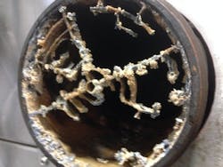 This steamer screen is almost non-existent due to the pump net being flushed regularly. This steamer screen is almost non-existent due to the pump net being flushed regularly.