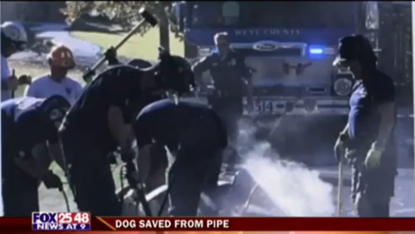 West County, MO, Firefighters Save Dog Stuck in Pipe | Firehouse