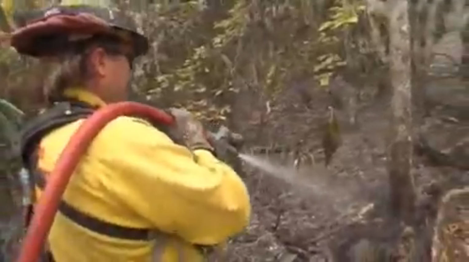 nc wildland fire 5829ed0d9fb48
