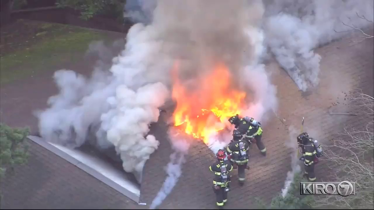 Large Zoo Fire Injures Seattle Firefighters