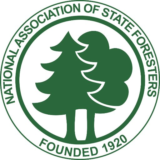 Foresters 5890f905aef2a
