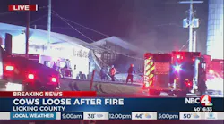 More than 250 Cows Loose After OH Barn Fire