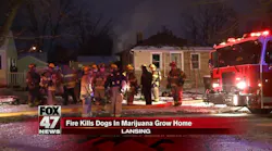 Marijuana Grow Operation Discovered at MI House Fire