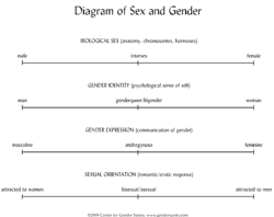 This matrix illustrates the differences among biological sex, gender identity, gender expression and sexual orientation. More can be found at http://gendersanity.com/diagram.html. This matrix illustrates the differences among biological sex, gender identity, gender expression and sexual orientation. More can be found at http://gendersanity.com/diagram.html.