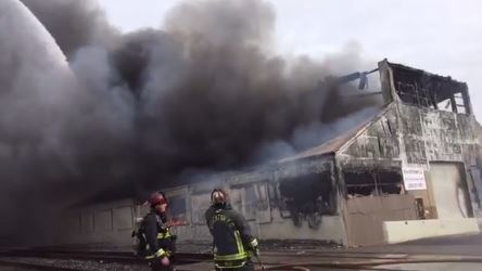 vids stockton 58ab1eb69987d